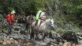 /album/fotogaleria-cabalgatas/a7978-264952200328535-2052855765-n-jpg/