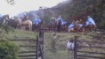/album/fotogaleria-cabalgatas/a1499423-264959866994435-790799655-n-jpg/